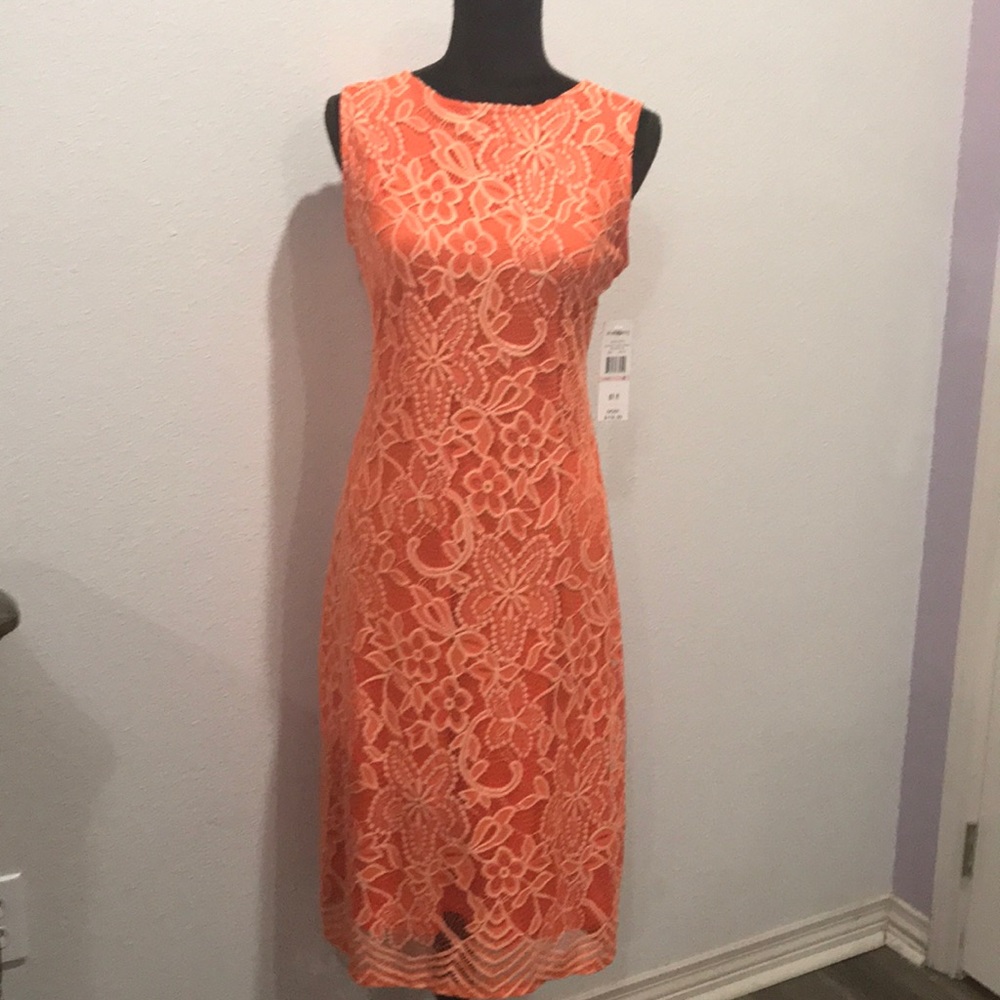 Brand New Beautiful Lace Dress